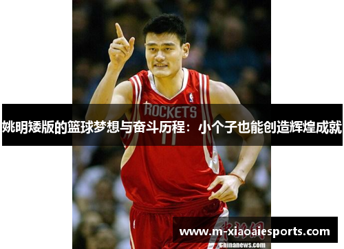 姚明矮版的篮球梦想与奋斗历程：小个子也能创造辉煌成就