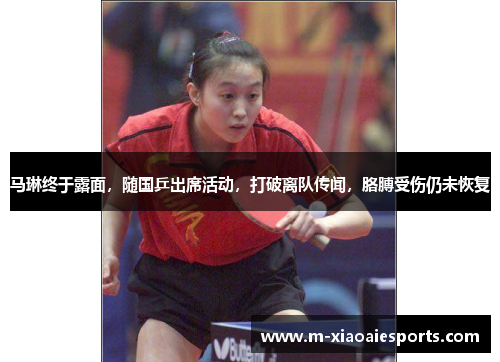 马琳终于露面，随国乒出席活动，打破离队传闻，胳膊受伤仍未恢复