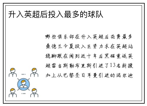 升入英超后投入最多的球队